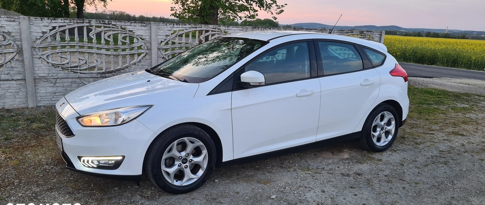 Ford Focus cena 31900 przebieg: 136500, rok produkcji 2016 z Paczków małe 137